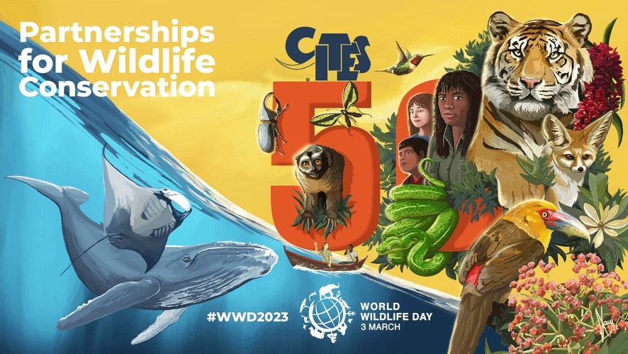 World Wildlife Day Image 2